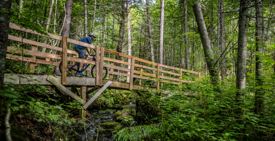 Velo lac delage clearance